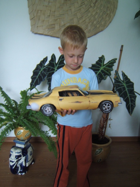 1976 Camaro 1976 Camaro
