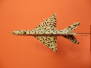 MiG-21 MF