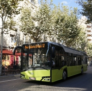 Solaris New Urbino