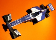 Williams FW32, GP Brazil 2010, H�lkenberg pole position