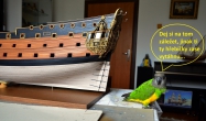 HMS ROYAL KATHERINE 1664