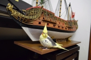 HMS ROYAL KATHERINE 1664