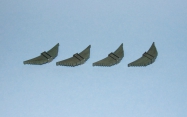 Chepos CP-11