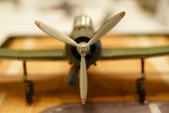 LICARD MODEL SHOW 2017