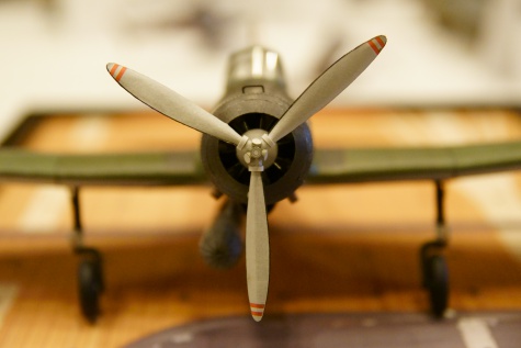 LICARD MODEL SHOW 2017
