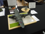 Moson model show