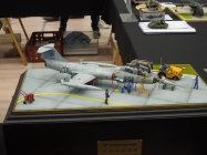 Moson model show