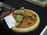 Moson model show