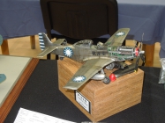 Moson model show