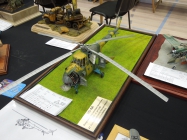 Moson model show
