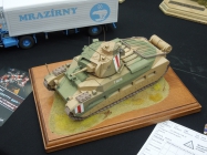 Moson model show