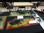 Moson model show