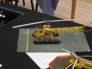 Moson model show