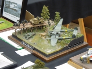Moson model show