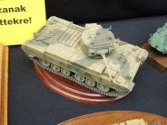 Moson model show