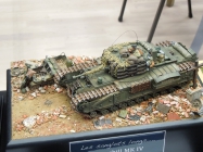 Moson model show