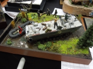 Moson model show