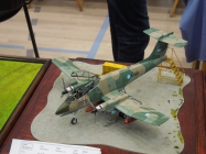 Moson model show