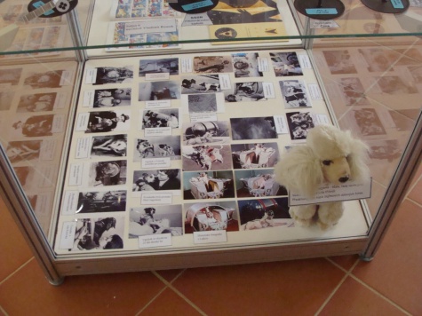 Lajka a zvířecí kosmonauti - muzeum Jílové u Prahy Lajka a zvířecí kosmonauti - muzeum Jílové u Prahy