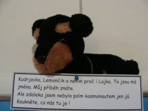 Lajka a zvířecí kosmonauti - muzeum Jílové u Prahy Lajka a zvířecí kosmonauti - muzeum Jílové u Prahy