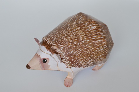 Zvieratá Zvieratá
