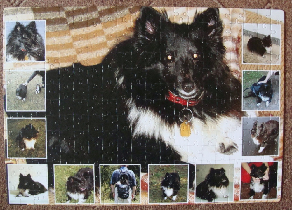 PUZZLE (Plná velikost v novém okně) PUZZLE