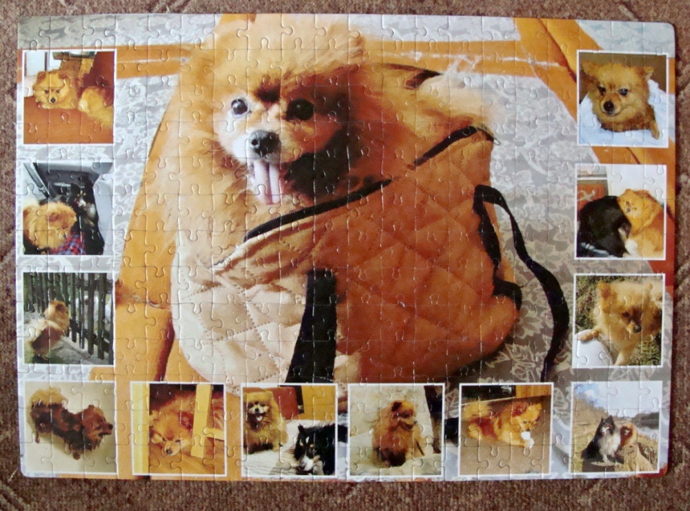 PUZZLE (Plná velikost v novém okně) PUZZLE