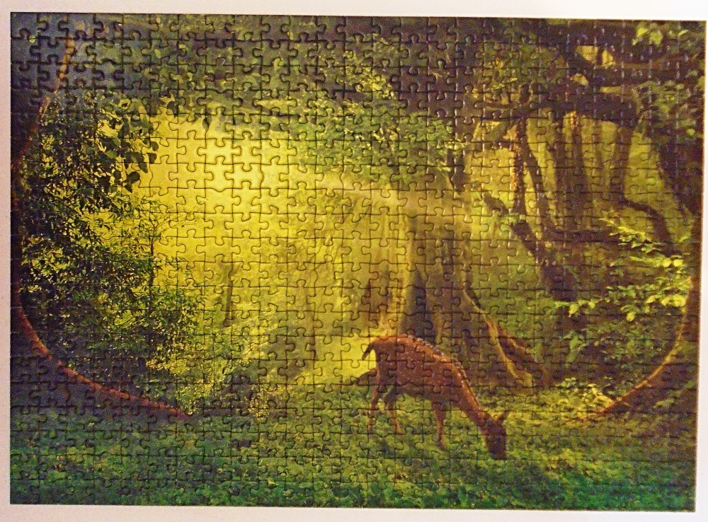 356003