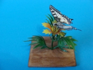 fauna