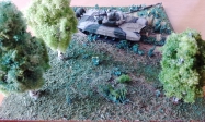 T 72 v akcii