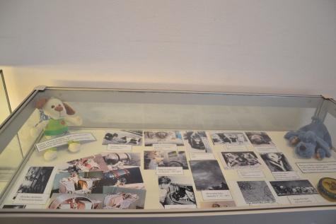 Lajka a zvířecí kosmonauti - muzeum Louny Lajka a zvířecí kosmonauti - muzeum Louny