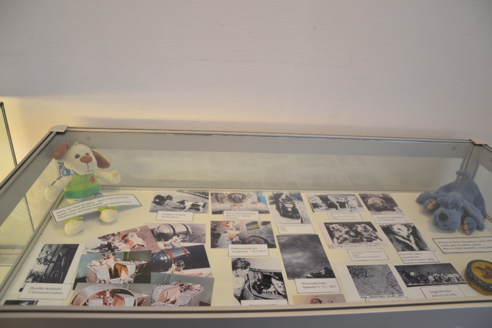 Lajka a zvířecí kosmonauti - muzeum Louny (Plná velikost v novém okně) Lajka a zvířecí kosmonauti - muzeum Louny