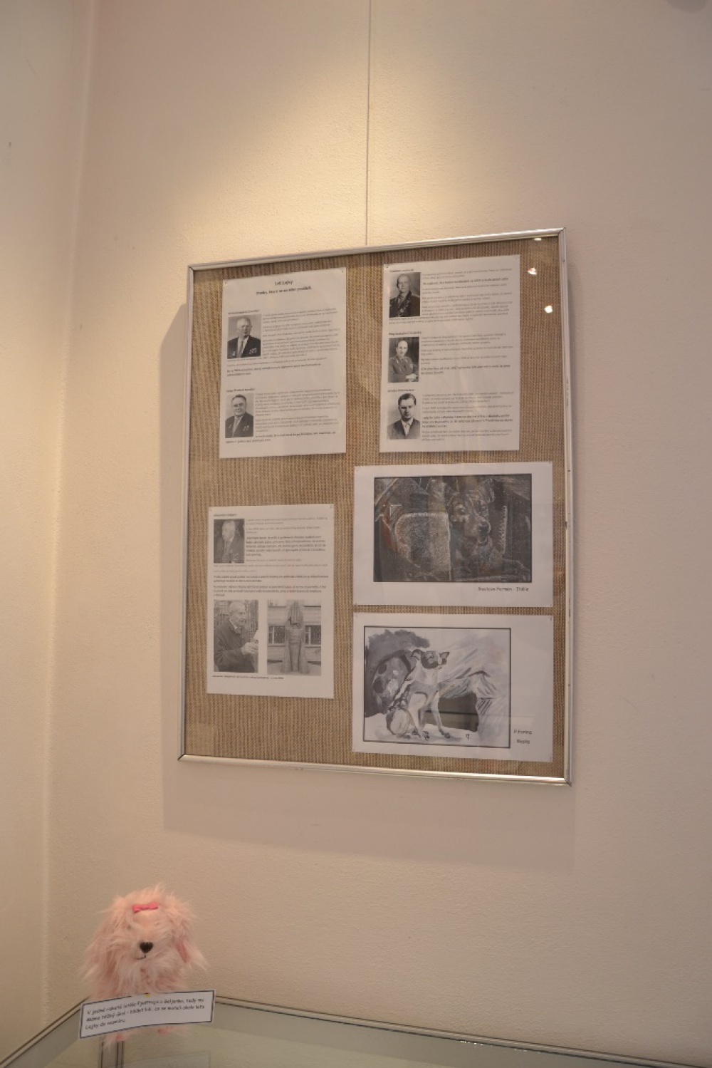 Lajka a zvířecí kosmonauti - muzeum Louny (Plná velikost v novém okně) Lajka a zvířecí kosmonauti - muzeum Louny