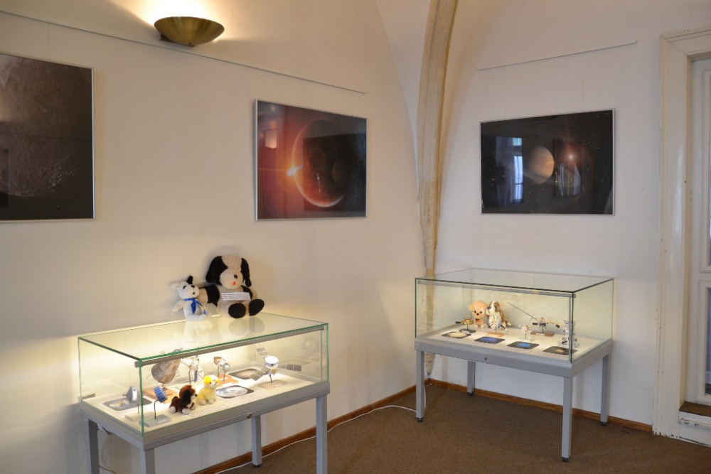 Lajka a zvířecí kosmonauti - muzeum Louny (Plná velikost v novém okně) Lajka a zvířecí kosmonauti - muzeum Louny