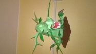 Asian Dragon