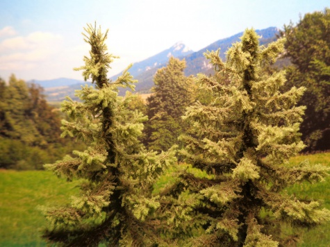 Kostel nad Kalvárií/Očadnica Kostel nad Kalvárií/Očadnica