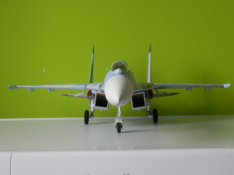 Su-27S Su-27S