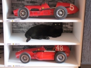 Ferrari F 2007 GP ��na 2007