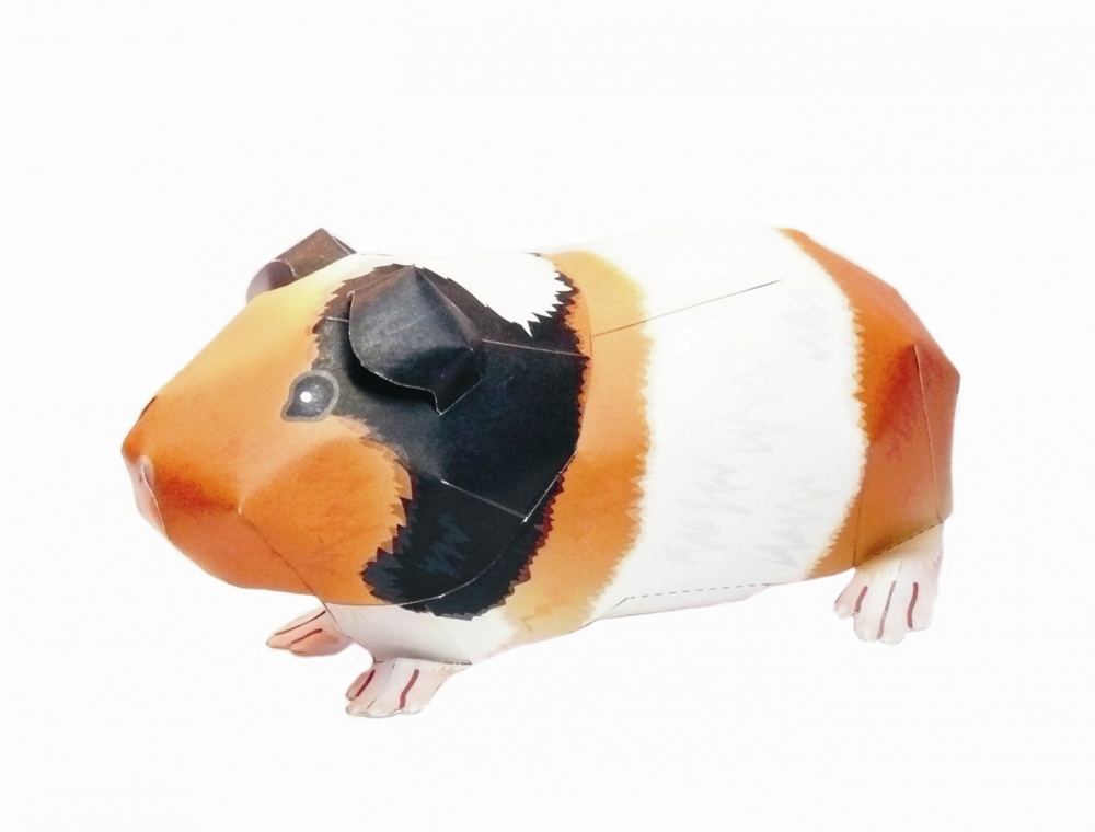 Zvěřinec (Plná velikost v novém okně) Zvěřinec