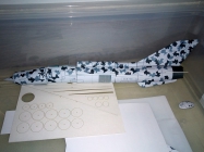 MiG-21 MF