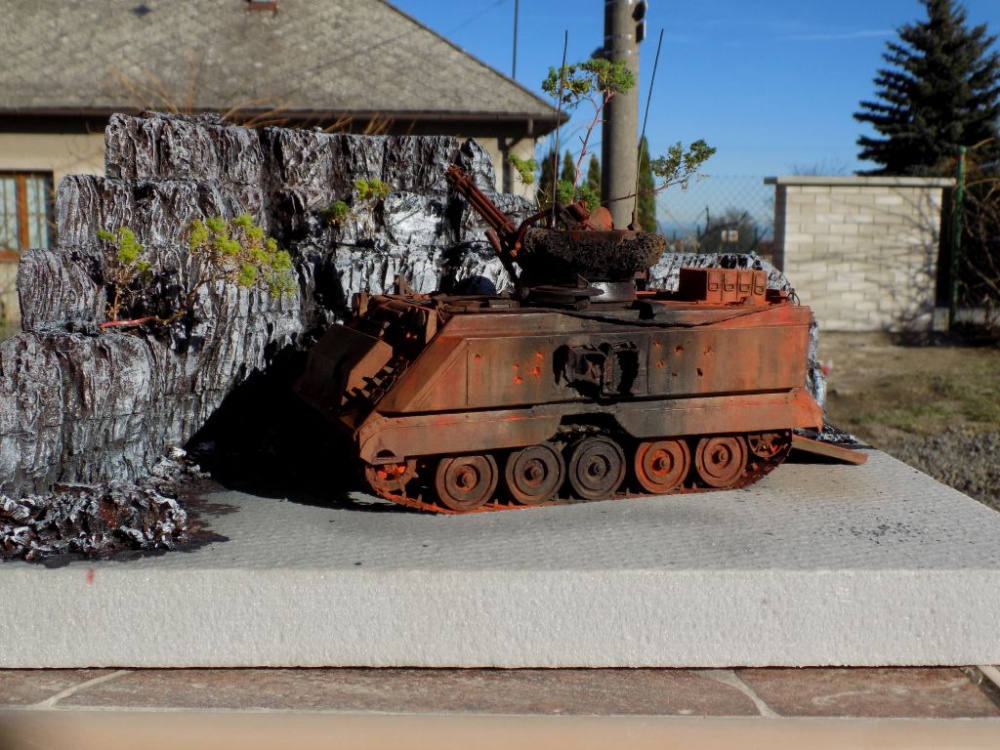 M 163 Vulcan (Plná velikost v novém okně) M 163 Vulcan