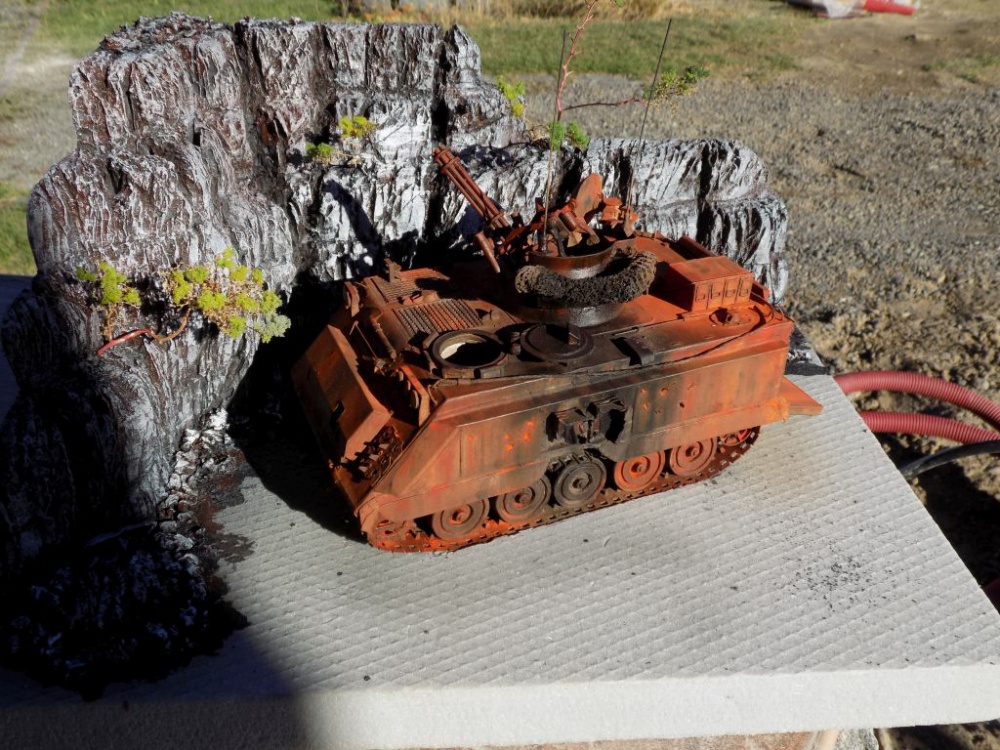 M 163 Vulcan (Plná velikost v novém okně) M 163 Vulcan