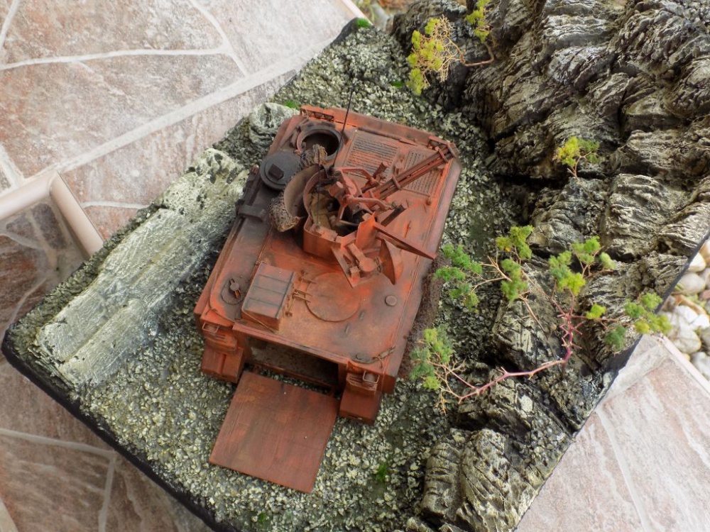 M 163 Vulcan (Plná velikost v novém okně) M 163 Vulcan