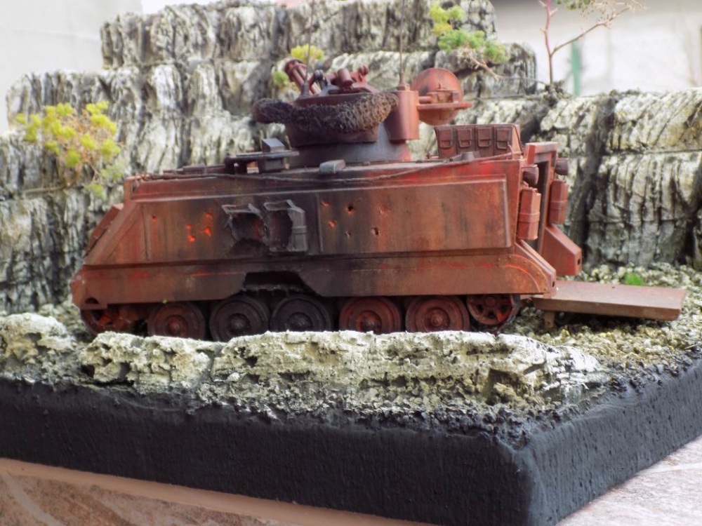 M 163 Vulcan (Plná velikost v novém okně) M 163 Vulcan