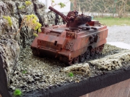 M 163 Vulcan