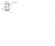 v�eho