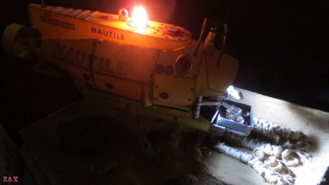 Nautile Nautile