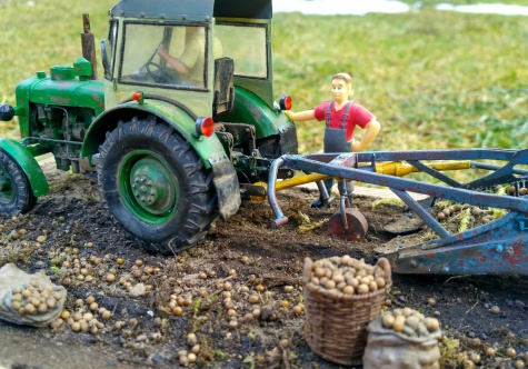 Zetor 50 Super, vyor�va� brambor Tec