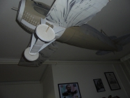 SPAD XIII  - Francesco Baracca 91a Sqadriglia, It�lie, �erven 1918