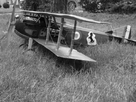 SPAD XIII - Francesco Baracca 91a Sqadriglia, Itálie, červen 1918 SPAD XIII - Francesco Baracca 91a Sqadriglia, Itálie, červen 1918